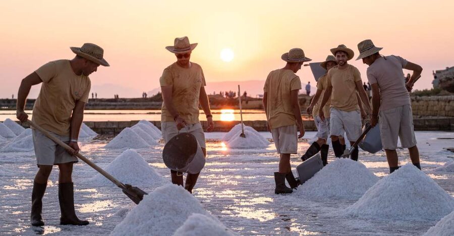 Guided tour of the Trapani Salt Pans and Salt Museum - What the pace feels like in real life (and who it suits)