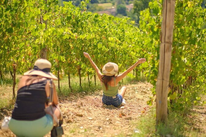 Half day Chianti Vineyard Escape from Florence with Wine Tastings - Key Things Worth Noticing Before You Go