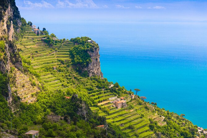 Hands-On Cooking Class & Farmhouse Tour on the Amalfi Coast - Amalfi Heaven Gardens: What a Half-Day Feels Like in the Gardens