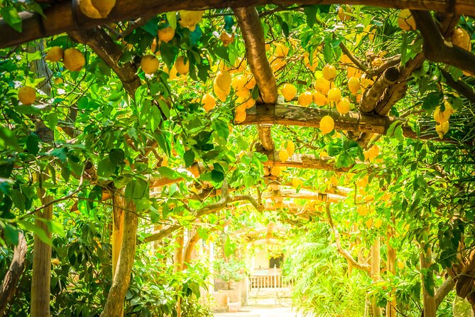 Hands-On Cooking Class & Farmhouse Tour on the Amalfi Coast - Who Should Book This Cooking Experience (and Who Might Skip It)
