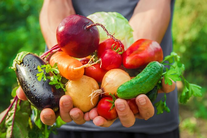 Hands-On Cooking Class & Farmhouse Tour on the Amalfi Coast - Terraced Gardens, Lemon Groves, and the Mediterranean Diet in Plain Language