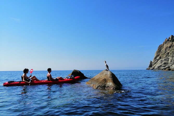 Kayak experience with Carnassa Tour in Cinque Terre + Snorkeling - Price value: what $83.48 gets you in the real world