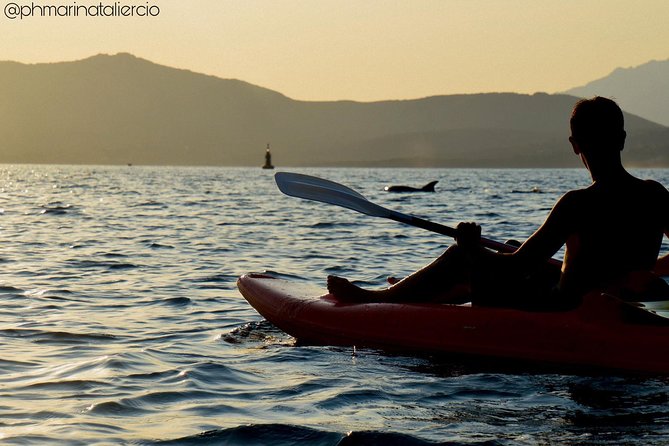 Kayak tour with aperitif and dolphins - Stop-by-stop: what each part of the route is actually doing