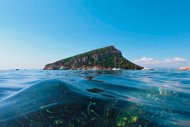 Kayak tour with aperitif and dolphins - Sunrise vs afternoon: how timing changes the vibe