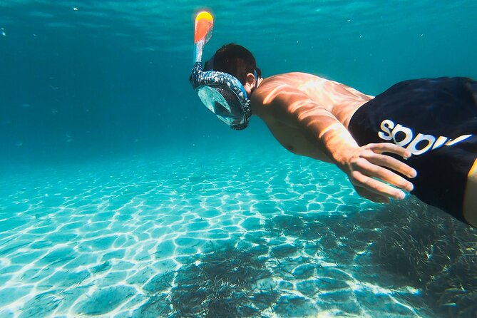 Kayak tour with aperitif and dolphins - Price and value: what about $54 buys you