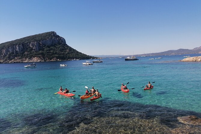 Kayak tour with aperitif and dolphins - What to bring so you enjoy every stop