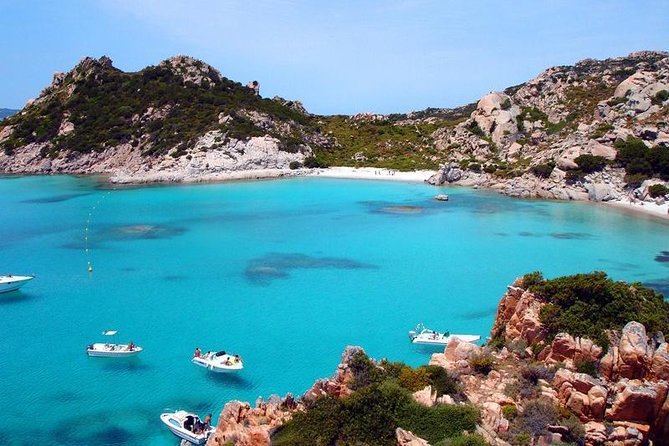 La Maddalena Archipelago Boat Tour from Palau - Getting to the Palau port and checking in smoothly