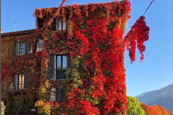 Lake Como & Bellagio Day Trip with Private Boat Cruise - After Bellagio: Cadenabbia and the long return by coach