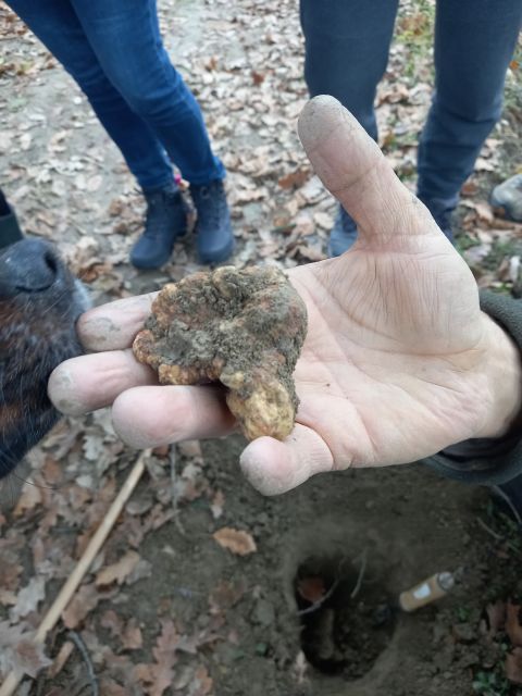 Langhe: Truffle Hunting Experience - What Happens Before the Hunt: Boots, Poncho, and Getting the Conditions Right