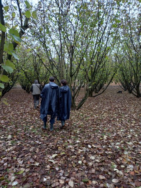 Langhe: Truffle Hunting Experience - Price and Value: Is $94 Worth It for Truffles and Wine?