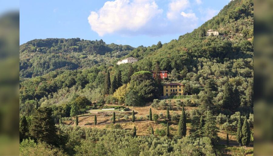Lucca: Guided Winery Tour with Wine Tasting - Price and value: is $29 per person a good deal