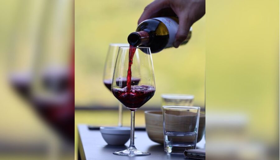 Lucca: Guided Winery Tour with Wine Tasting - The tasting on the panoramic patio: what that 1 hour really includes