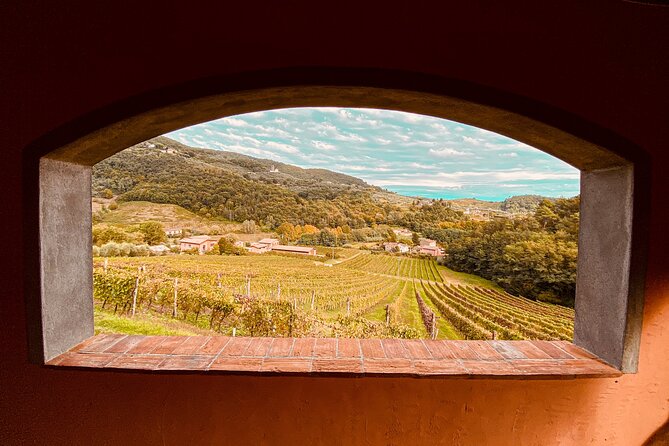 Lucca: Wine Tasting Experience - Tenuta Adamo Winery - Key highlights worth your time