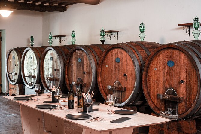 Lucca: Wine Tasting Experience - Tenuta Adamo Winery - First stop: getting to Tenuta Adamo Winery from Lucca
