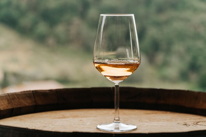 Lucca: Wine Tasting Experience - Tenuta Adamo Winery - Group size reality: private on paper, shared on the terrace
