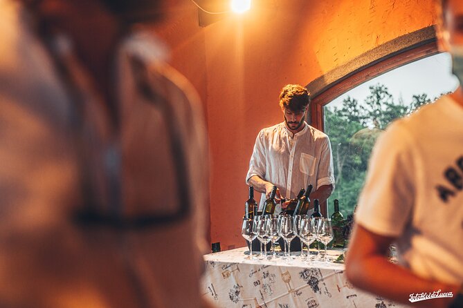 Lucca: Wine Tasting Experience - Tenuta Adamo Winery - Who should book this Lucca winery tasting