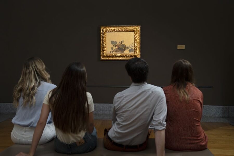 Milan: Pinacoteca Ambrosiana & da Vinci Codex Exhibition - Raphael’s School of Athens cartoon: the “how” moment
