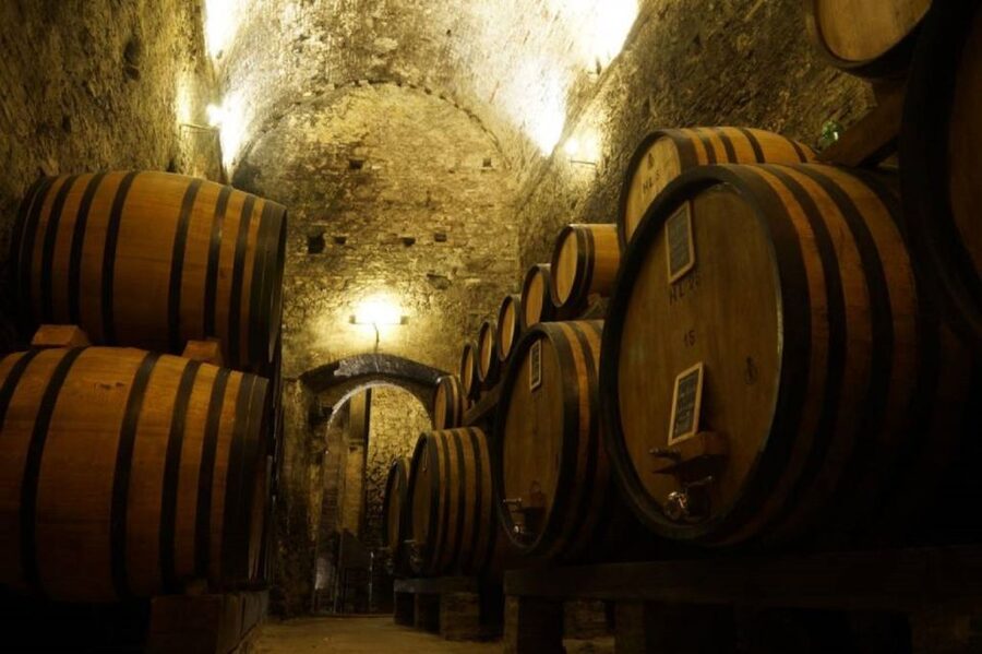 Montepulciano: Wine Tasting and Cellar Tour - Key Things I’d Put on Your Radar