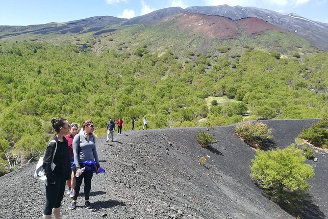Mount Etna Half-Day Small Group Tour from Taormina - Key Highlights I’d Prioritize Before You Go