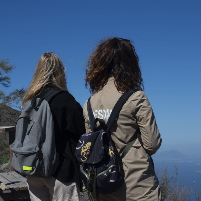 Mount Vesuvius: Skip-the-Line Ticket and Smart Digital Guide - The smart digital guide: your best friend on the cone