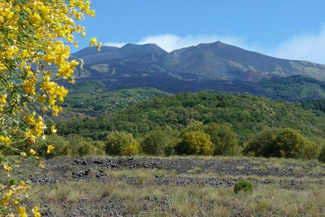 Mt. Etna nature and flavors half day Tour from Catania - Price and Value: What $71.35 Covers, and What Costs Extra