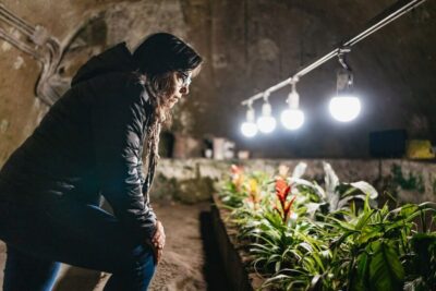 Naples Underground Entry Ticket and Guided Tour