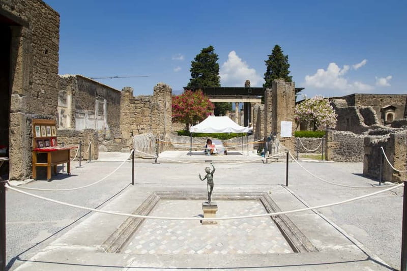 Naples or Sorrento: Full-Day Pompeii and Mount Vesuvius Tour - Key things that make this tour work