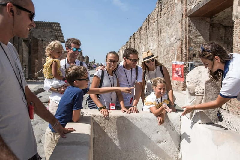 Naples or Sorrento: Full-Day Pompeii and Mount Vesuvius Tour - Mount Vesuvius: vehicle-assisted height, then your own crater edge walk