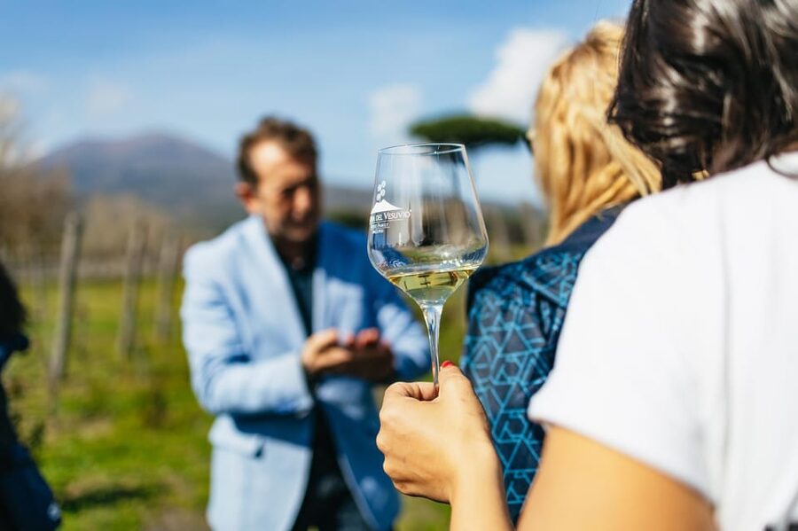Naples: Pompeii and Mt. Vesuvius with Lunch and Wine Tasting - Getting to Pompeii and Vesuvius without losing your whole day