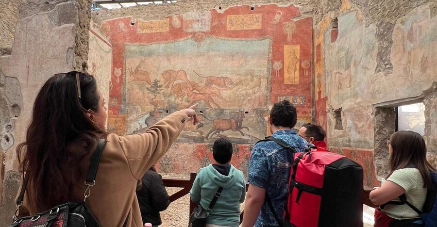 Naples: Pompeii & Mt. Vesuvius Day Trip with Tickets & Lunch - Key points before you go
