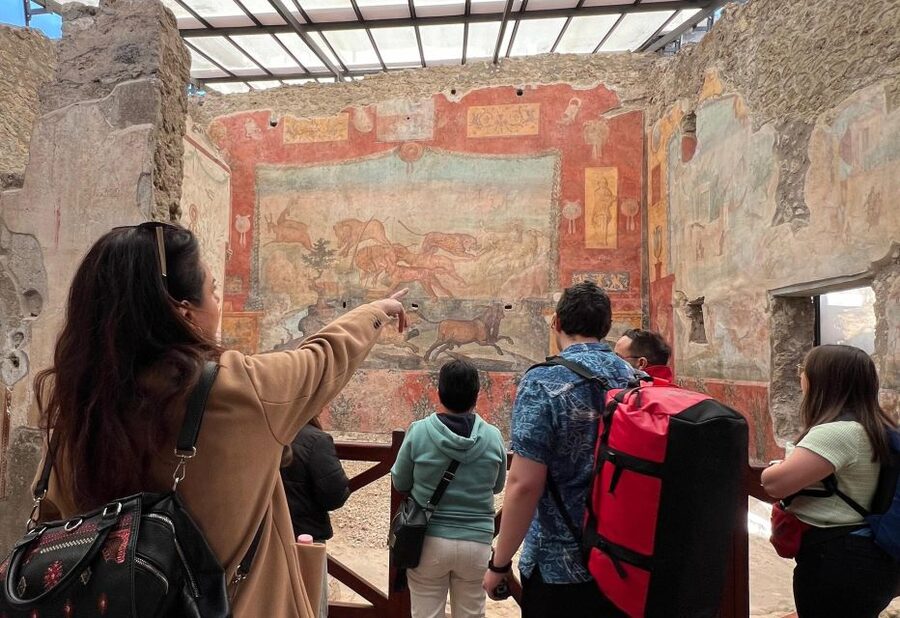 Naples: Pompeii & Mt. Vesuvius Day Trip with Tickets & Lunch - Pompeii in 2 hours: what you will actually see