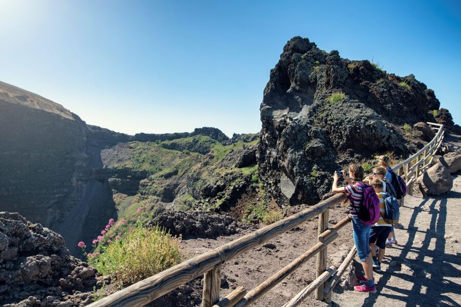 Naples: Pompeii & Mt. Vesuvius Day Trip with Tickets & Lunch - Lunch near Vesuvius: plan for a long day