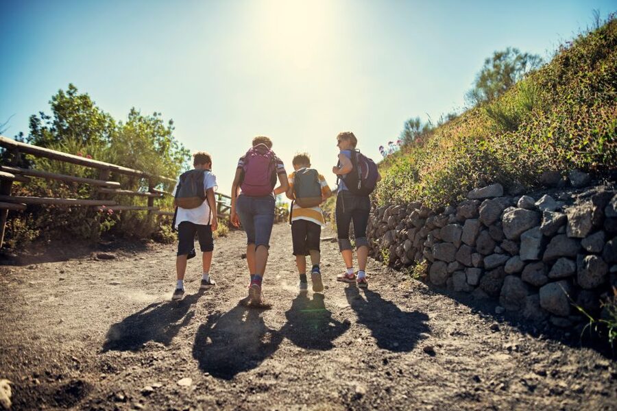 Naples: Pompeii & Mt. Vesuvius Day Trip with Tickets & Lunch - Mount Vesuvius: two route styles, two very different moods