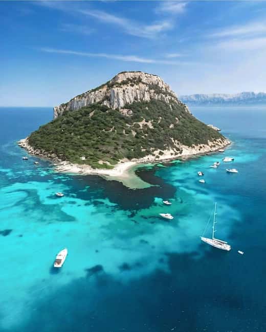 Olbia: Dolphin Watching & Snorkeling Boat Tour near Figarolo - Price and value: is $77 per person a good deal?