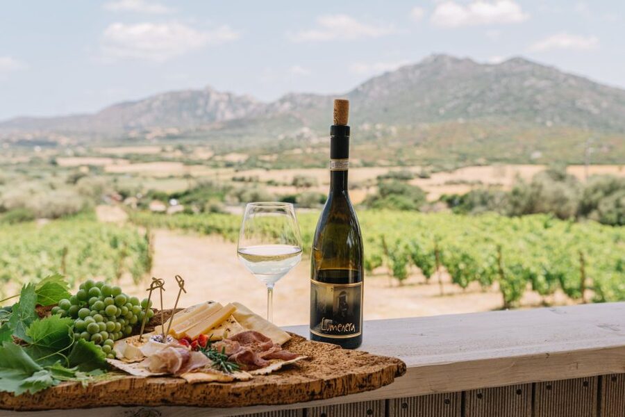 Olbia: Gallura Winery Guided Tour with Tasting - The star moment: tasting 3 Gallura wines with Sardinian snacks