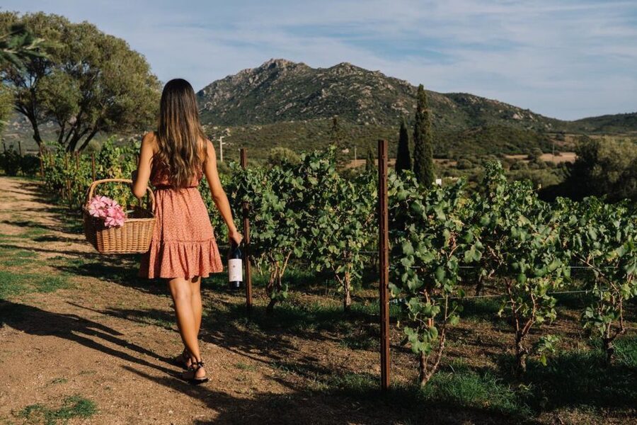 Olbia: Gallura Winery Guided Tour with Tasting - Price and value: what $61 gets you in Gallura
