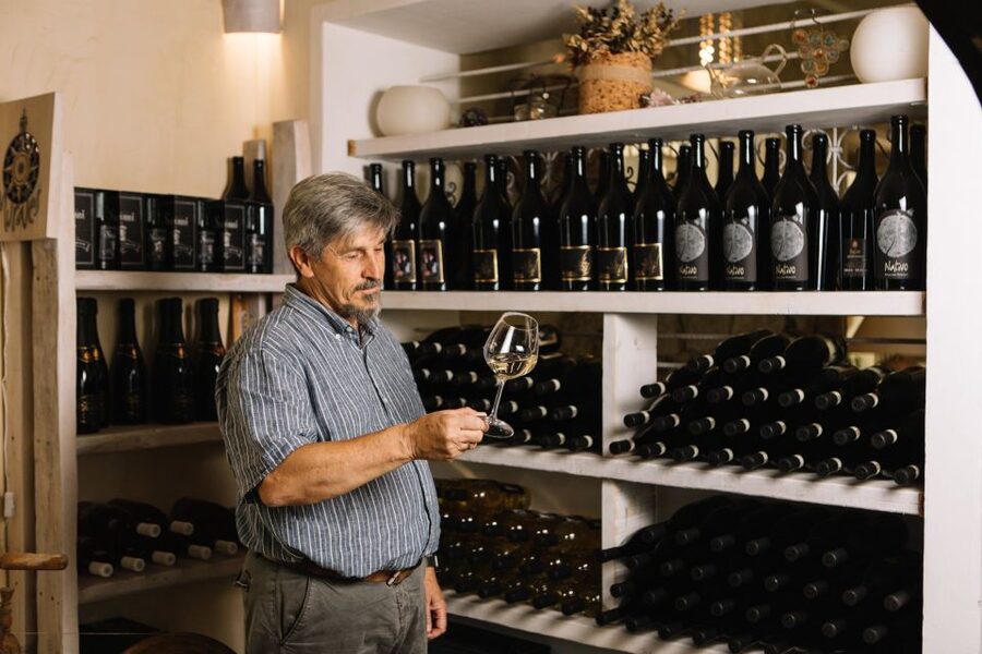 Olbia: Gallura Winery Guided Tour with Tasting - Should you book this tour?