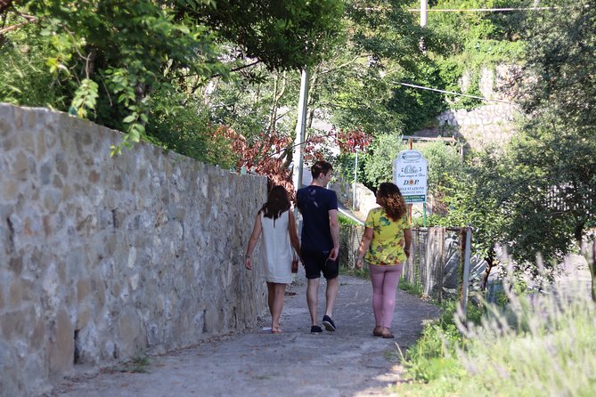 Olive oil tasting in Sorrento - Walking the olive groves and learning how oil gets made