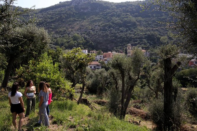 Olive oil tasting in Sorrento - Small group size and guides who slow down for you