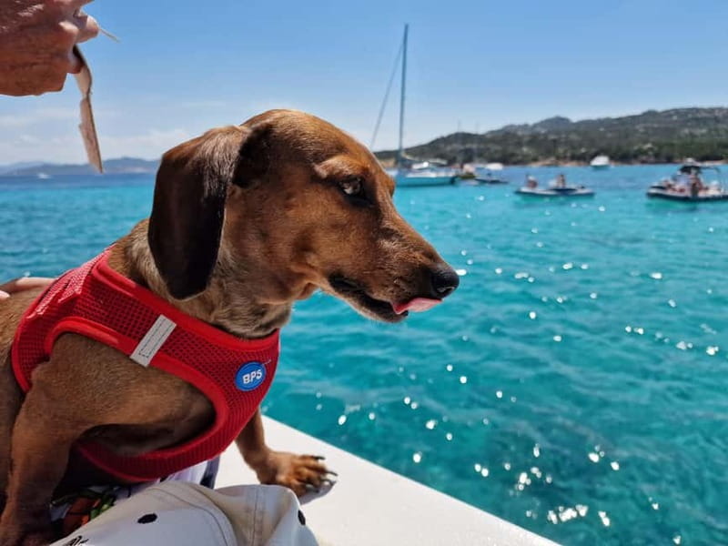Palau: La Maddalena Archipelago Comfort Boat Tour with Stops - La Maddalena town stop: shopping, walking, and a real human pace
