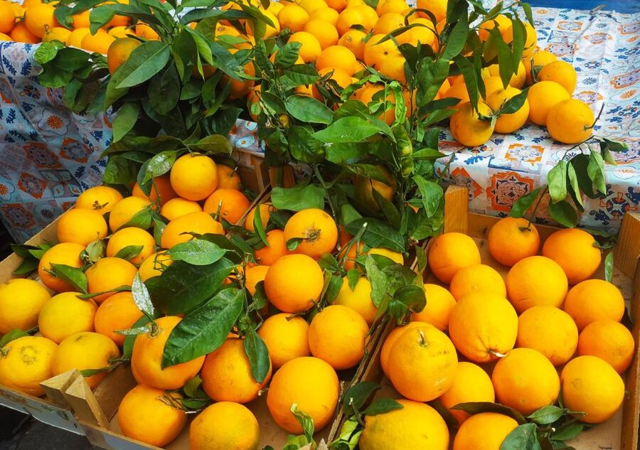 Palermo: Street Food Walking Tour with Local Guide & Tasting - Capo Market: Where Palermo Street Food Actually Makes Sense