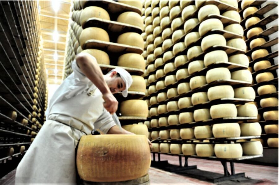 Parma: Parmigiano Production and Parma Ham Tour & Tasting - Degustazione time: tasting Parma ham with local wine