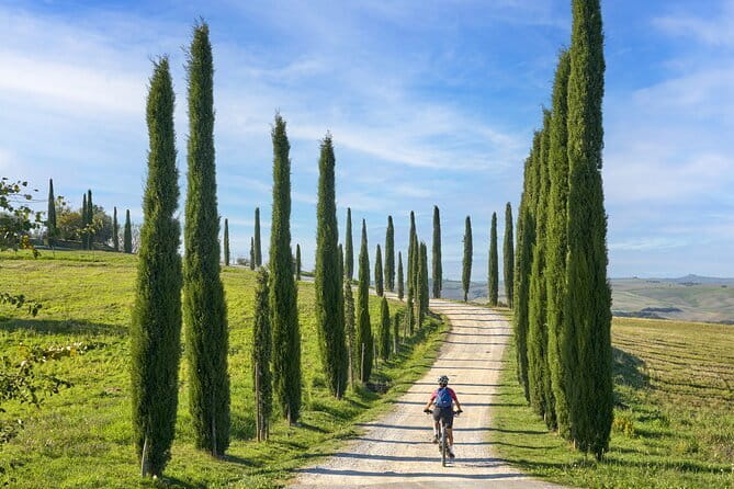 Pisa, Siena and San Gimignano Day Trip with Lunch & Wine Pairing - What You Pay for $78.60, and When It Feels Like a Win