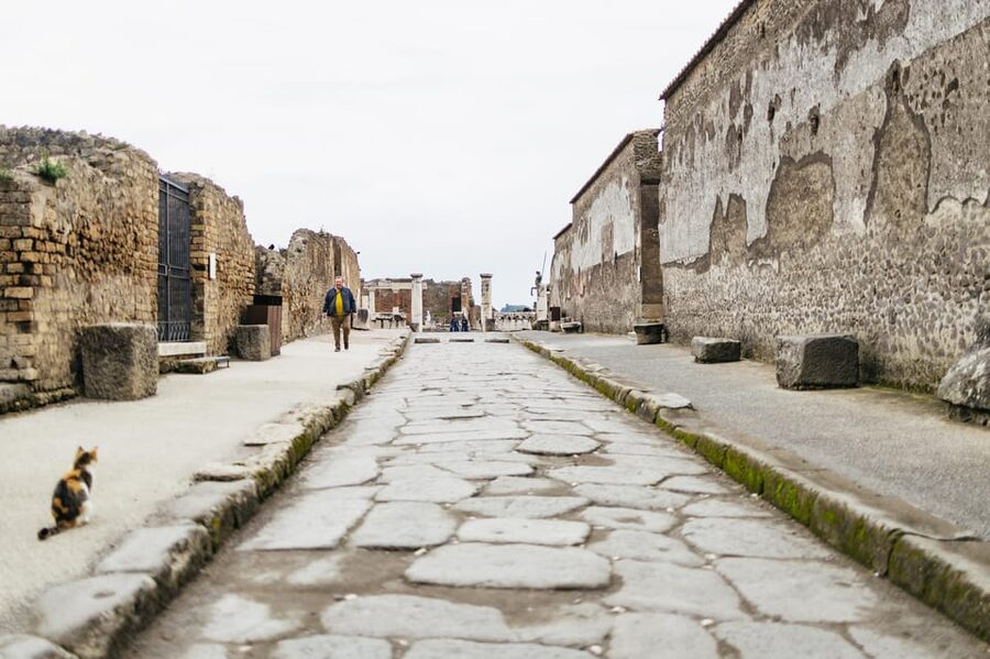 Pompeii: Afternoon to Sunset Guided Tour with Ticket - Forum and Basilica: How the Civic Heart of Pompeii Worked