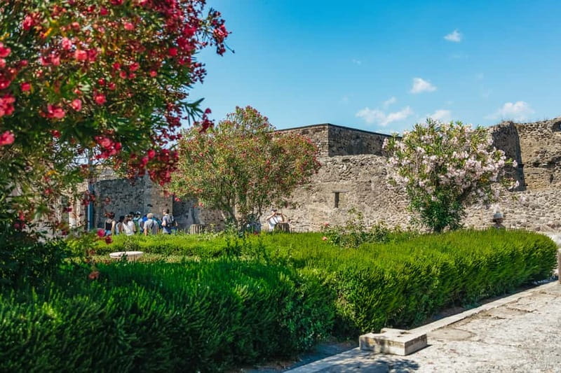 Pompeii: Archaeological Park Tour with Ticket on request - Pompeii in 2 Hours: what this format gets right