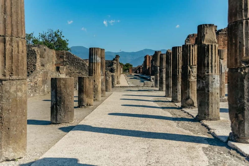 Pompeii: Archaeological Park Tour with Ticket on request - Walking the ancient streets: from everyday town life to Vesuvius tragedy