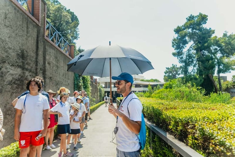 Pompeii: Archaeological Park Tour with Ticket on request - Roman amphitheater, small theater, and public gymnasium
