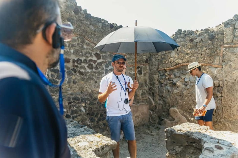 Pompeii: Archaeological Park Tour with Ticket on request - Houses, frescoes, and the plaster casts that hit hard