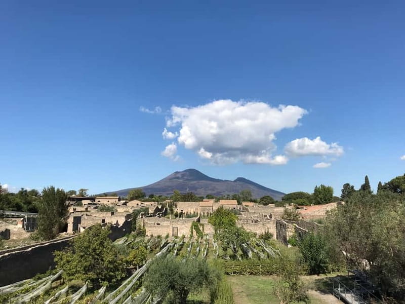 Pompeii: Exclusive Tour with Archaeologist and Entry Tickets - Entering Pompeii at Porta Marina: Where the Past Starts Immediately