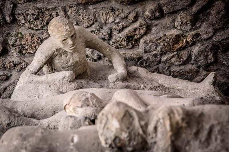 Pompeii: Exclusive Tour with Archaeologist and Entry Tickets - House of the Tragic Poet, House of the Vettii, House of the Faun: Art, Status, and Layout